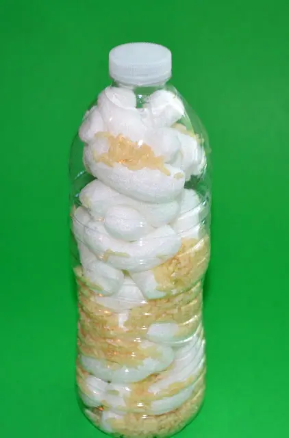 Rain Stick made with Packing Peanuts and Rice