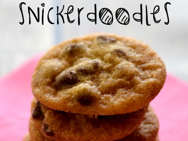 Chocolate Chip Snickerdoodles