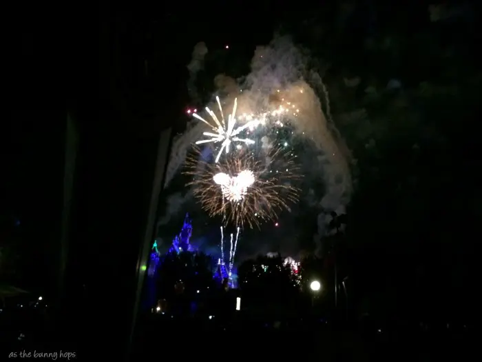 Hidden Mickey Fireworks