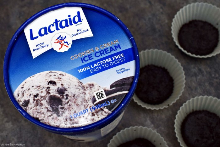 Lactaid Ice Cream