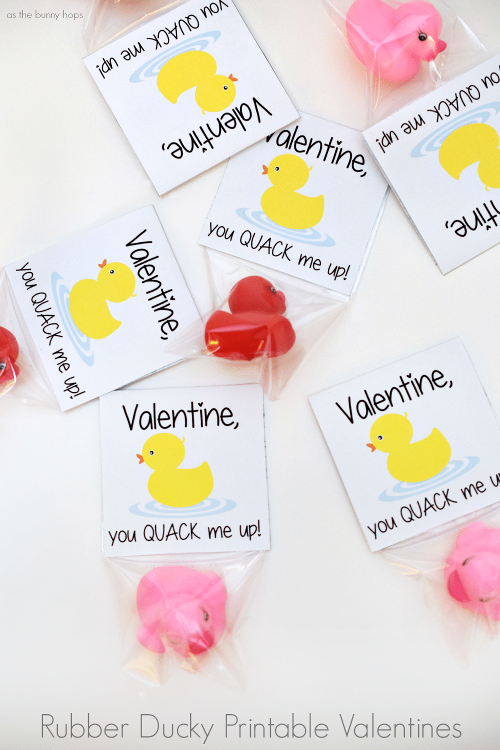 rubber-ducky-printable-valentines-as-the-bunny-hops