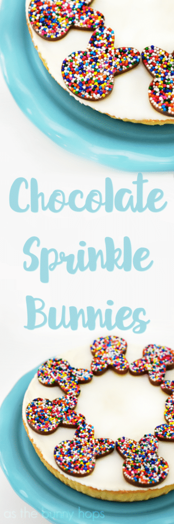 Dress up your cheesecake for Easter: it's fun to make these cute chocolate sprinkle bunnies!