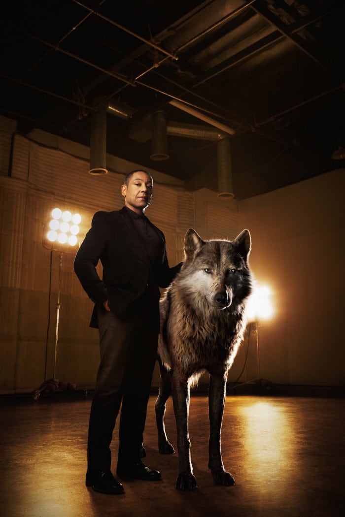 THE JUNGLE BOOK - Akela is the strong and hardened alpha-male wolf who shoulders the responsibility of his pack. He welcomes Mowgli to the family, but worries he may one day compromise their safety. "Akela is a fierce patriarch of the wolf pack," says Giancarlo Esposito, who voices the character. "He believes the strength of the pack lies in what each and every wolf offers. He's a great leader, a wise teacher." Photo by: Sarah Dunn. ©2016 Disney Enterprises, Inc. All Rights Reserved.