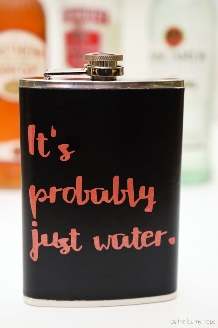 It's Probably Just Water Flask