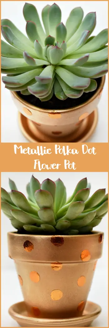 Metallic Polka Dot Flower Pot Pin