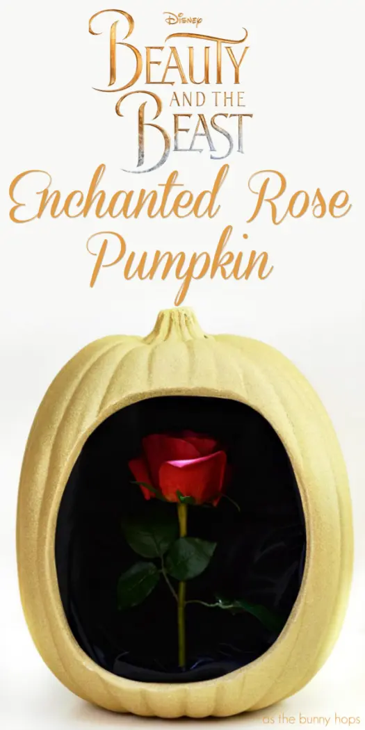 Celebrate a tale as old as time with this Enchanted Rose Pumpkin inspired by Disney's Beauty and the Beast! Get the instructions for this no-carve pumpkin and lots of Disney Halloween craft inspiration at As The Bunny Hops! 