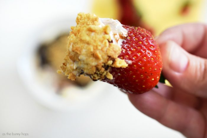 Grab some strawberries and get ready to dip. This S'mores Fruit Dip might just be your new favorite recipe! 