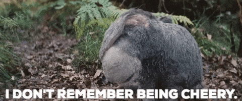 I don't remember being cheery Eeyore Christopher Robin GIF
