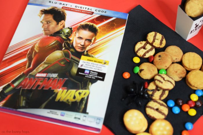 Get ready for big (but ant-sized) fun with these easy to make Ant-Man and the Wasp mini snack boxes! Get the printable and full instructions on a fun Ant-Man and the Wasp movie night at As The Bunny Hops!