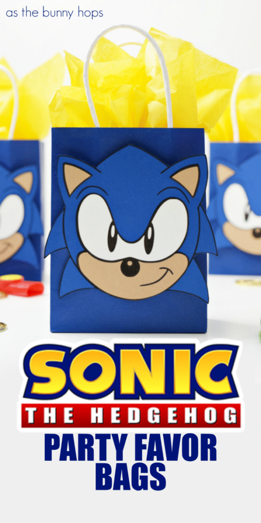 These Sonic The Hedgehog Party Favor Bags will be the genesis of a great birthday party theme! Get the printable and assembly instructions at As The Bunny Hops! 