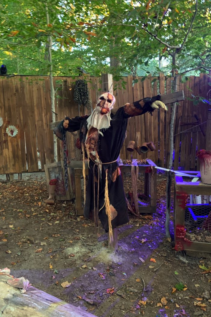 Get ready for a night of frights at Busch Gardens Williamsburg during Howl-O-Scream! 