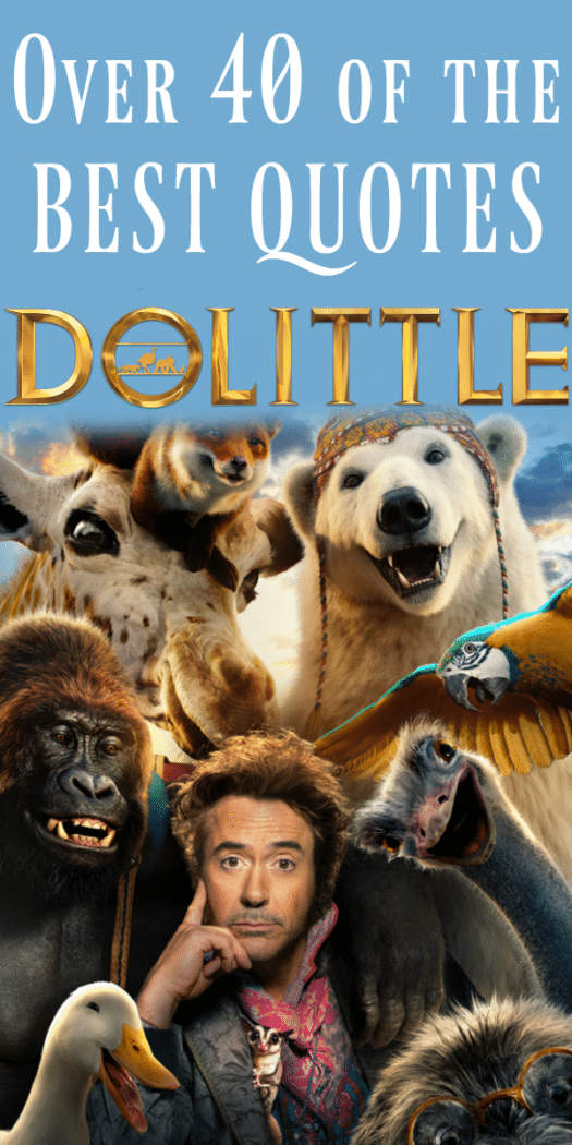 Get ready to talk to the animals with over 40 of the best and funniest quotes from Dolittle, the 2020 Robert Downey Jr. film.