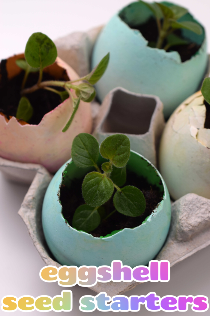Save your eggshells for a colorful batch of seed starters this spring! Get the details on how to make your own at As The Bunny Hops! 